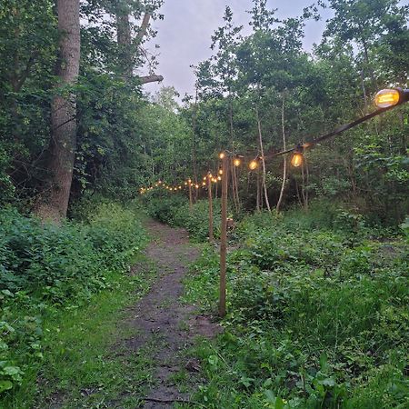 Ecolodges De Dreef Guesthouse 雷讷瑟 外观 照片